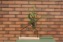 Load image into Gallery viewer, Steti Wire Flower Stand with Glass Vase, Decorative Unique Metal Wire Flower Vase, Matte Black

