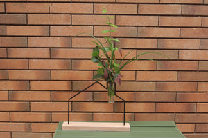 Steti Wire Flower Stand with Glass Vase, Decorative Unique Metal Wire Flower Vase, Matte Black